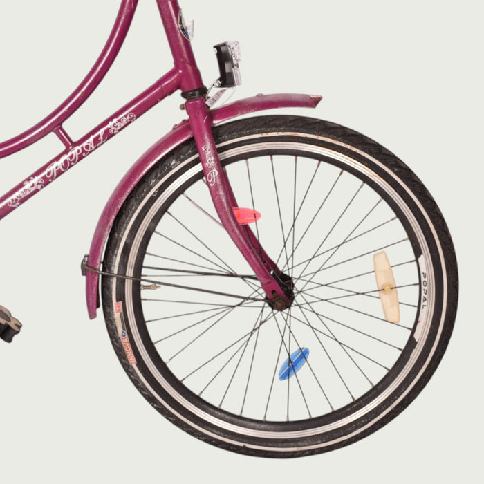 22.478 kinderfiets - BikeFlip