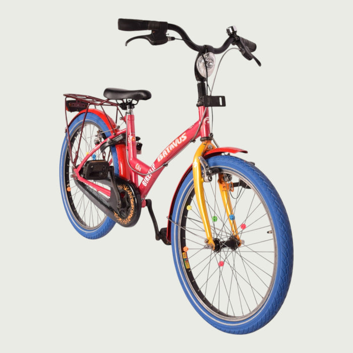 22.482 kinderfiets - BikeFlip