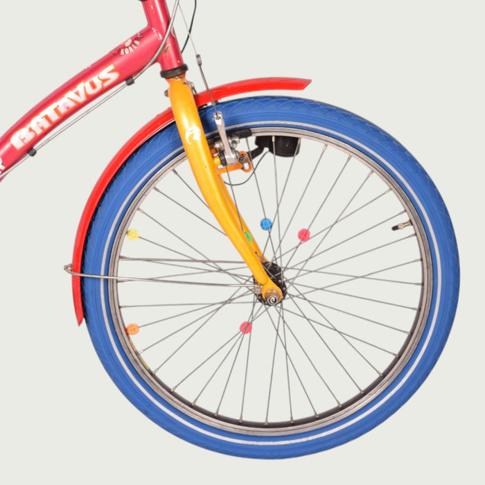22.482 kinderfiets - BikeFlip