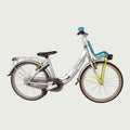 22.485 kinderfiets - BikeFlip