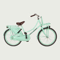 22.505 kinderfiets - BikeFlip