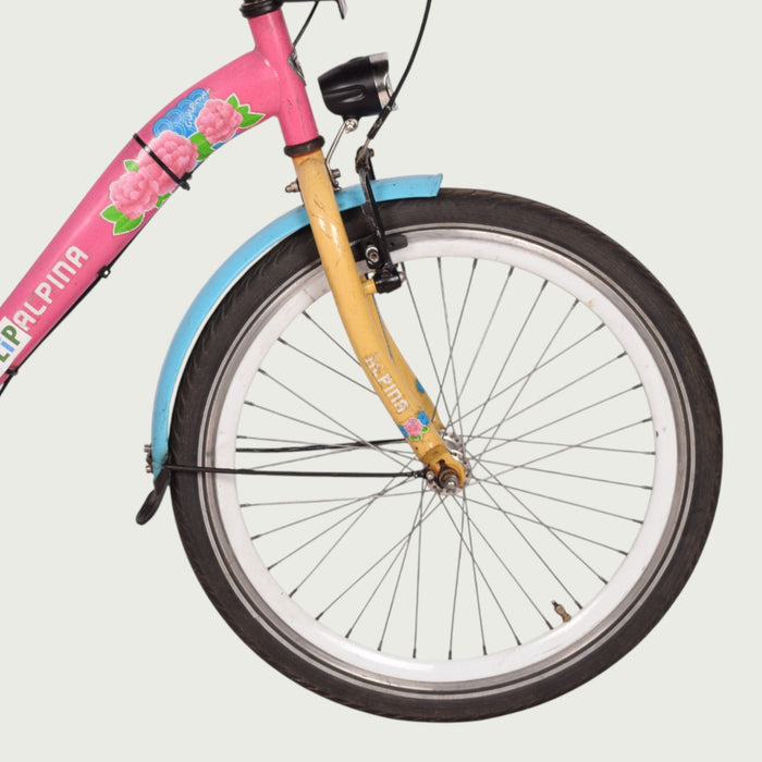 22.75 kinderfiets - BikeFlip