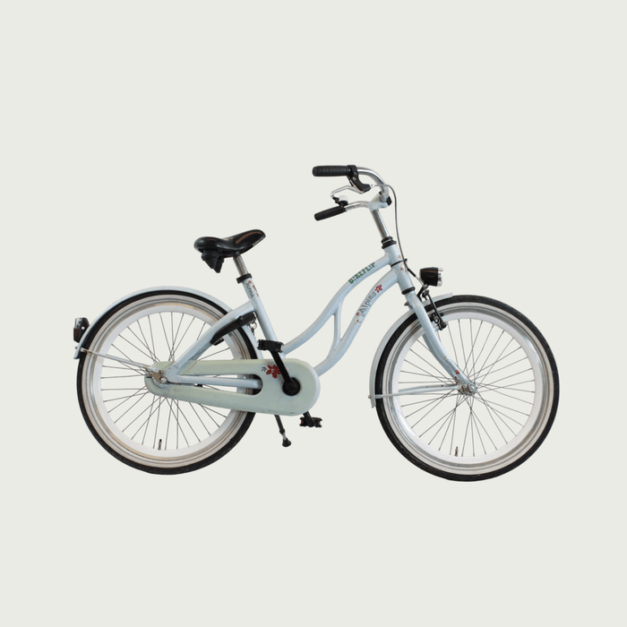 22.79 - BikeFlip