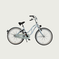 22.79 - BikeFlip