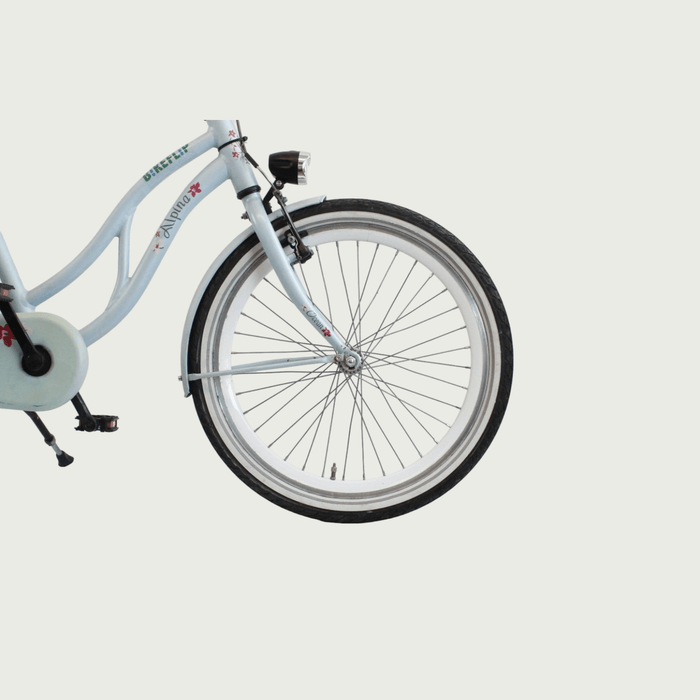 22.79 - BikeFlip
