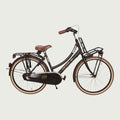 24.1022 - BikeFlip