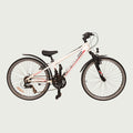 24.1037 - BikeFlip