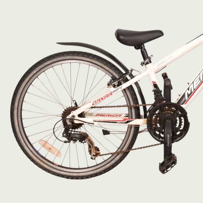 24.1037 - BikeFlip