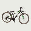 24.1105 - BikeFlip
