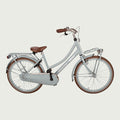24.1189P - BikeFlip