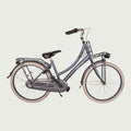 24.1271 - BikeFlip