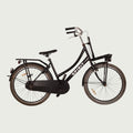24.1279 - BikeFlip