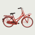 24.1340 kinderfiets - BikeFlip