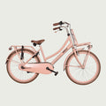 24.1381P kinderfiets - BikeFlip