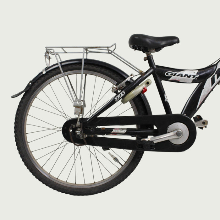 24.163 - BikeFlip