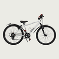 24.167 - BikeFlip