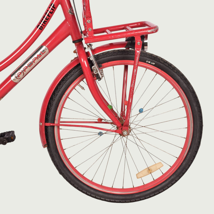 24.1902 kinderfiets - BikeFlip