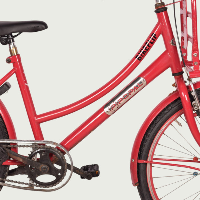 24.1902 kinderfiets - BikeFlip