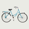 24.191 - BikeFlip