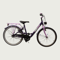 24.192 - BikeFlip