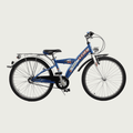 24.202 - BikeFlip