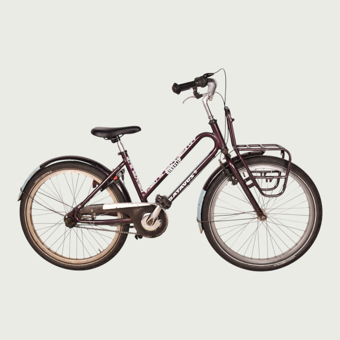 24.2054 kinderfiets - BikeFlip