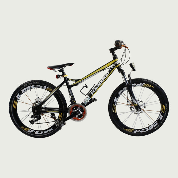 24.208 - BikeFlip