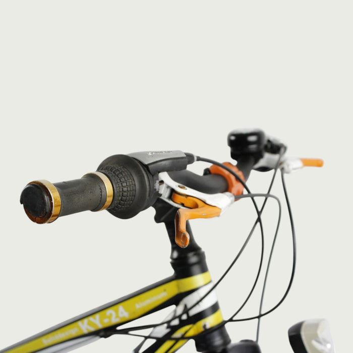 24.208 - BikeFlip