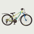 24.2171 kinderfiets - BikeFlip