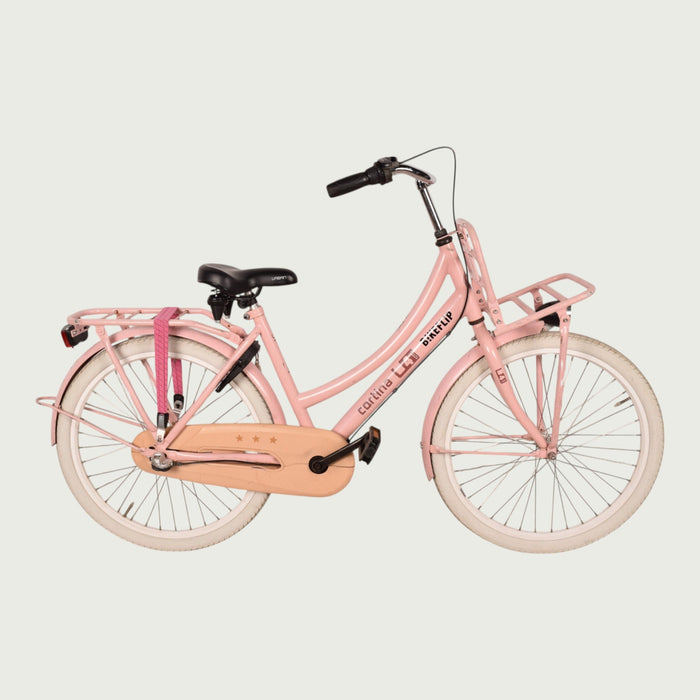 24.2199 kinderfiets - BikeFlip