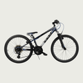 24.220 - BikeFlip