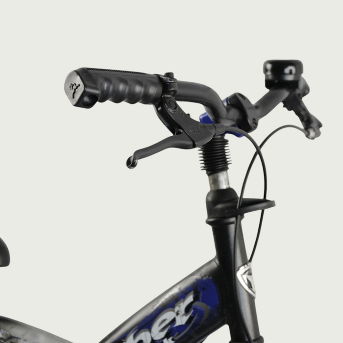 24.221 - BikeFlip