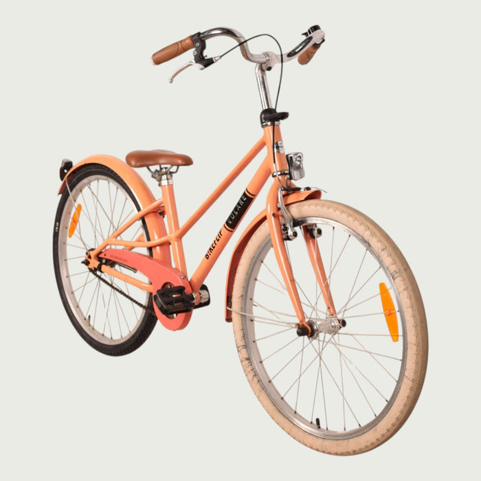 24.2220 kinderfiets - BikeFlip