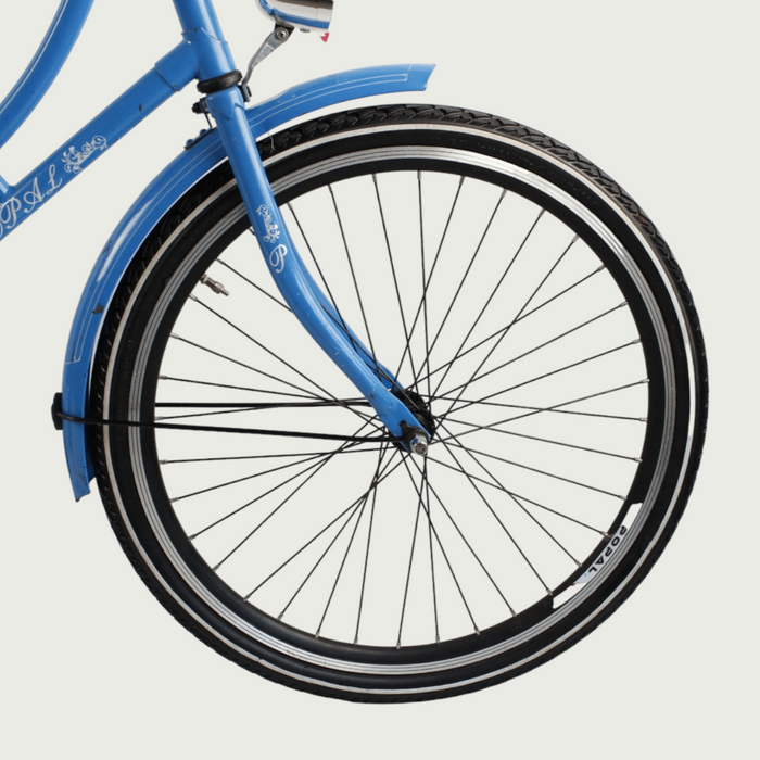 24.230 - BikeFlip