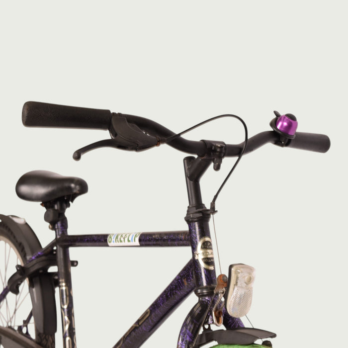 24.234 - BikeFlip