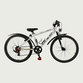 24.252 - BikeFlip