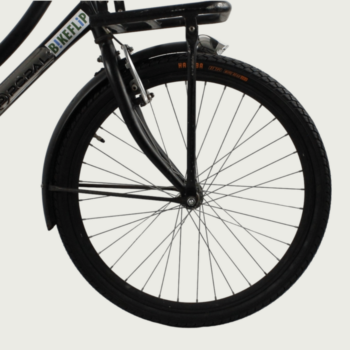 24.253 - BikeFlip
