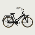 24.262 - BikeFlip