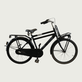 24.270 - BikeFlip