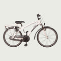 24.331 kinderfiets - BikeFlip