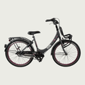 24.336 - BikeFlip