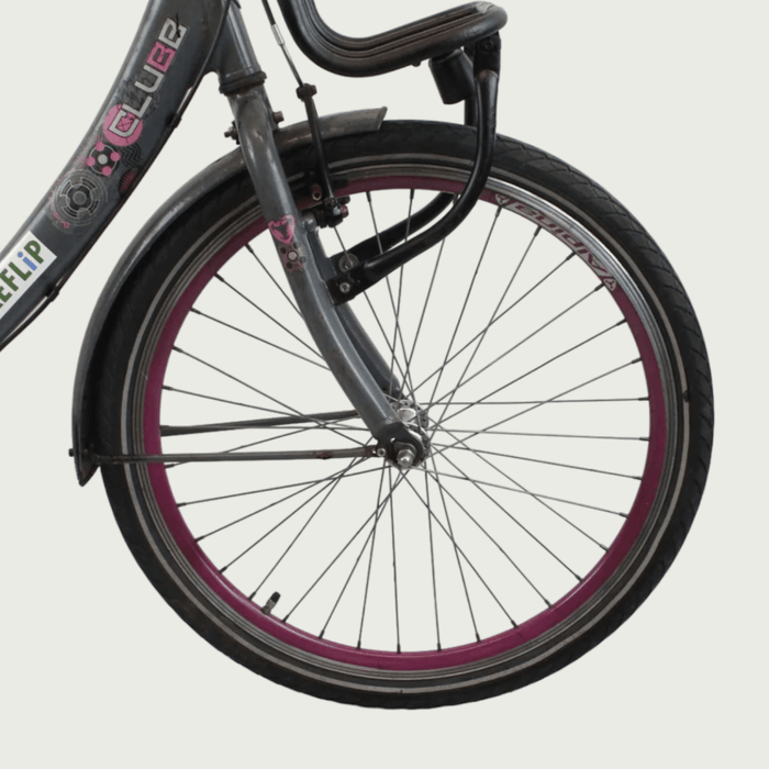 24.336 - BikeFlip