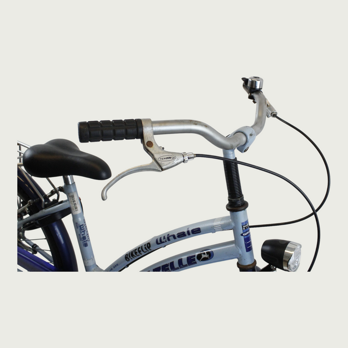 24.355 - BikeFlip
