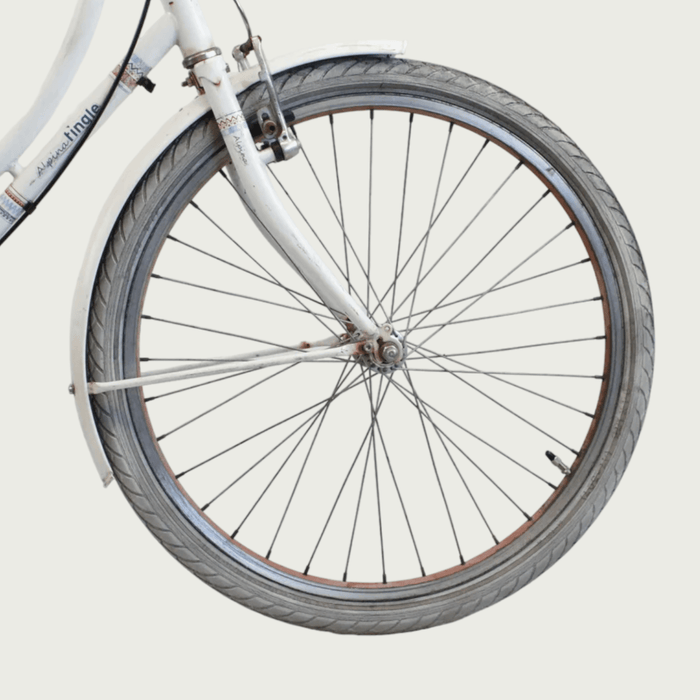 24.357 - BikeFlip