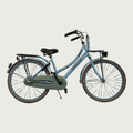 24.504 - BikeFlip