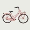 24.557 kinderfiets - BikeFlip