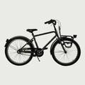 24.607 - BikeFlip