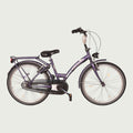 24.619 kinderfiets - BikeFlip