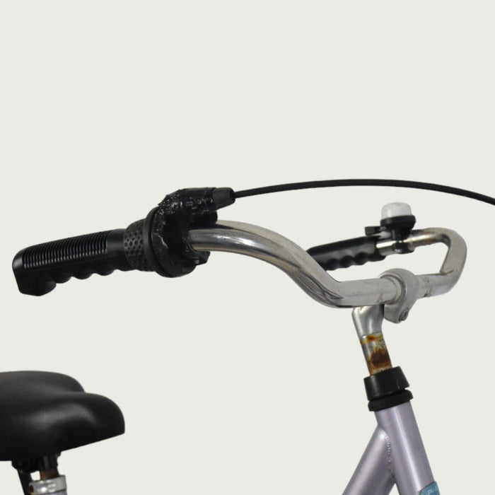 24.673 - BikeFlip