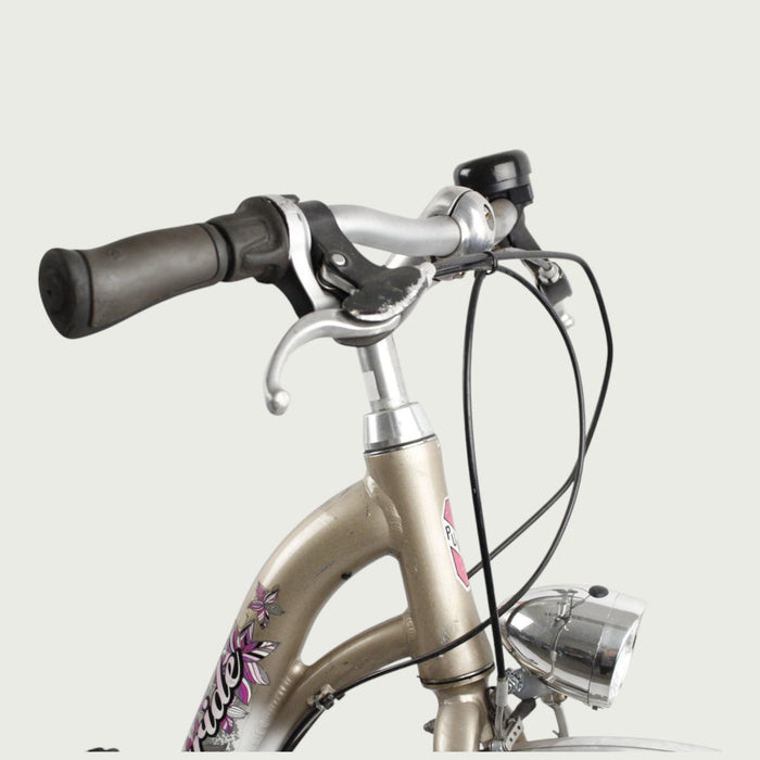 24.71 - BikeFlip